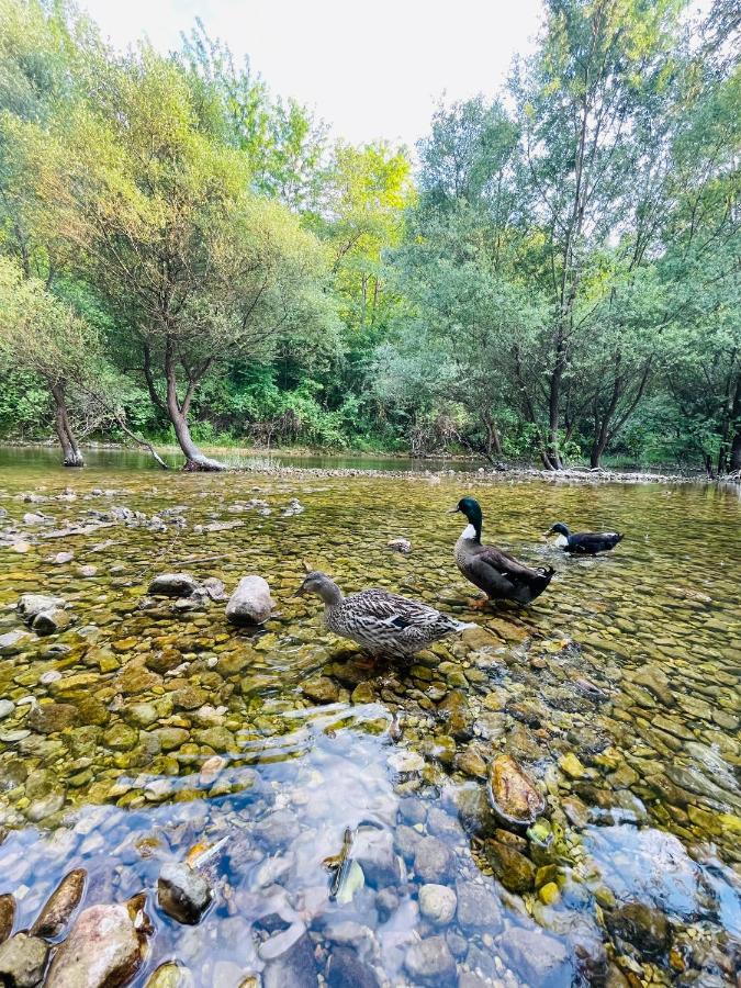 Skala Luxury Rooms Cetinje Exteriér fotografie